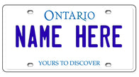 Personalized Custom License Plate for Kids Car