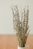 Lavender Bundle