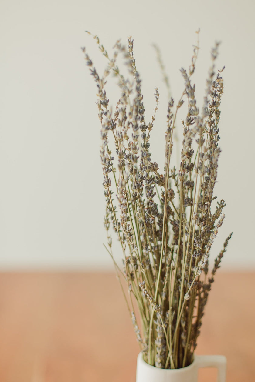 Lavender Bundle