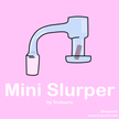 Mini Slurper