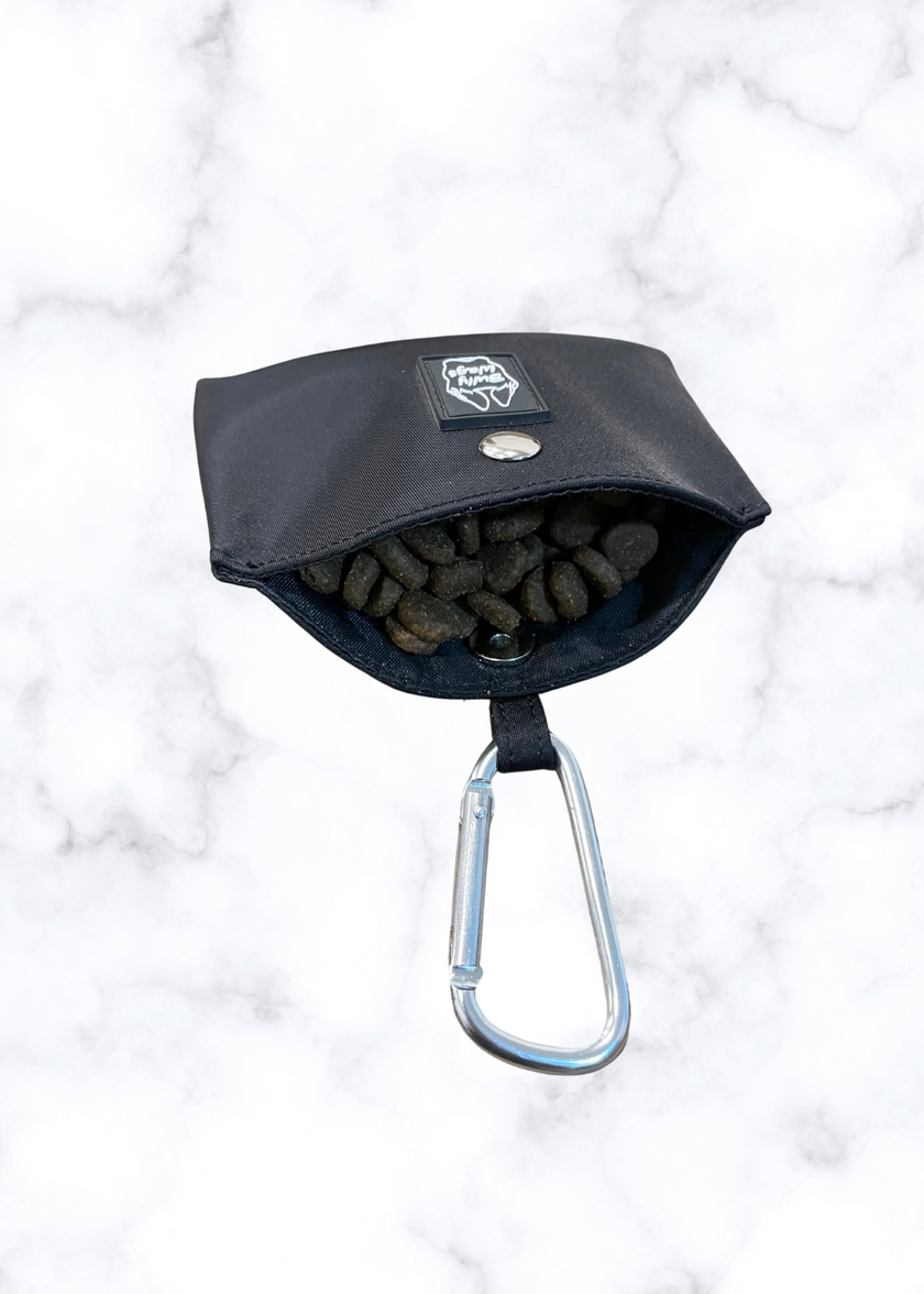 Pocket Treat Pouch