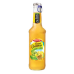 Popular Maza Juice Glass Bottel  250ml