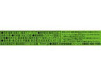 Itoen Oi Ocha Matcha Green Tea (20 Packets/40G) [Best Before Date: 2027.02]
