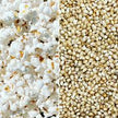 Bulk White Hull-less Popcorn Kernels (6lbs, 12lbs, 18lbs, 24lbs) (Product of Canada)
