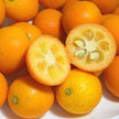 SE: Japanese Kinkan Kumquat (227G)