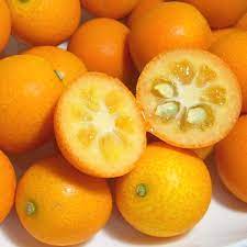 SE: Japanese Kinkan Kumquat (227G)