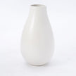 White Vase Collection