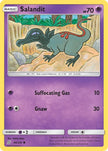 Salandit 098/236