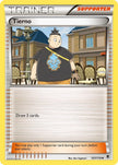 Tierno 107/119