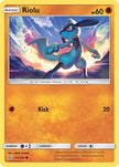 Riolu 116/236