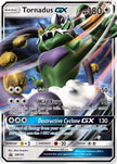 Tornadus GX SM134
