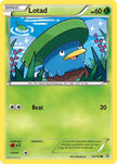 Lotad 10/160
