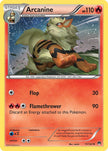 Arcanine 11/122