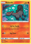 Salandit 013/070