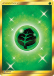 Grass Energy 167/145