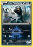 Team Aqua's Poochyena 16/34