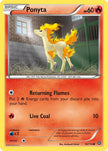 Ponyta 16/114