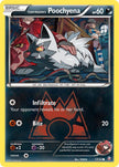 Team Magma's Poochyena 17/34