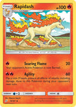 Rapidash 018/181