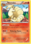 Ninetales 21/160