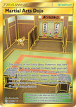 Martial Arts Dojo 268/236