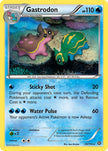 Gastrodon 29/114