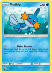 Mudkip 032/168
