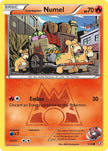 Team Magma's Numel 1/34
