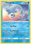Dewgong 045/214
