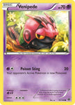 Venipede 51/146