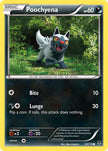 Poochyena 53/119