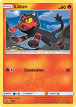 Litten SM02