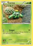 Cacnea 4/162