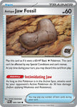 Antique Jaw Fossil 068/088
