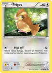 Pidgey 75/106