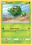 Cacnea 005/111