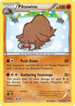Piloswine 81/162