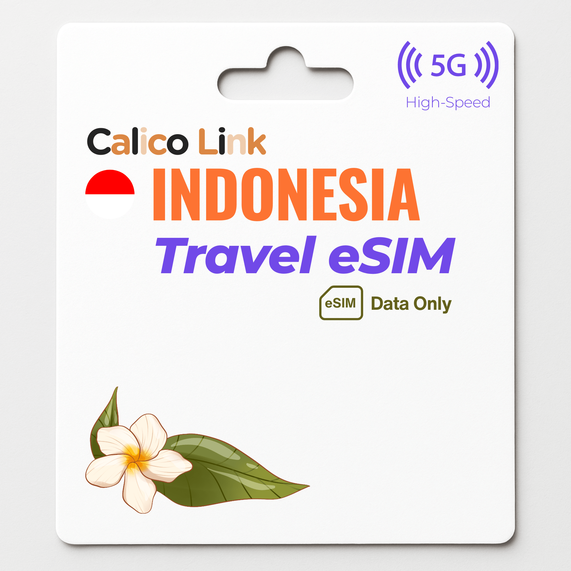 Indonesia Travel eSIM | 5G Data