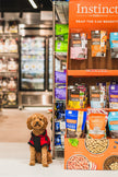 Instinct Raw - Boost Mixers Multivitamin Dog Food Topper