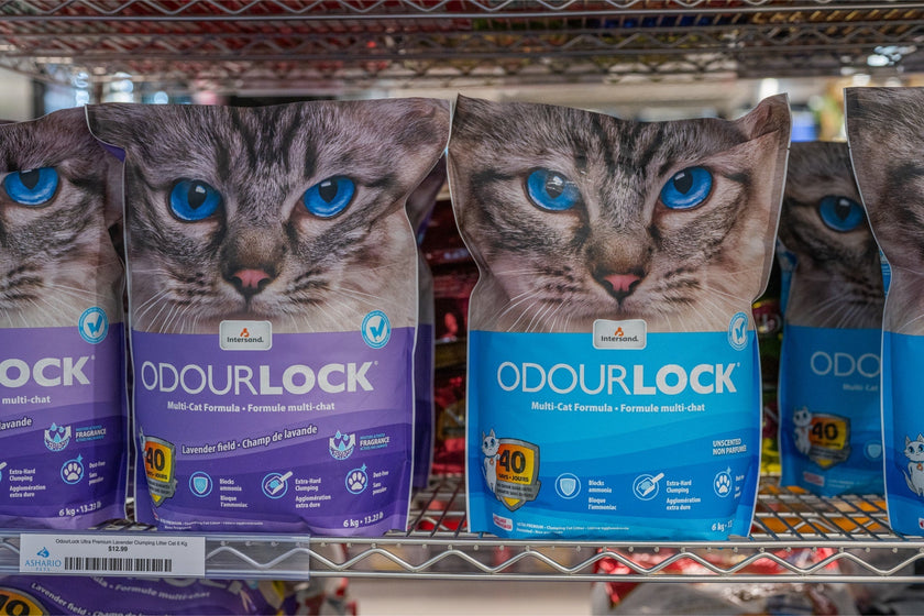 OdourLock - Ultra Premium Unscented Clumping Cat Litter