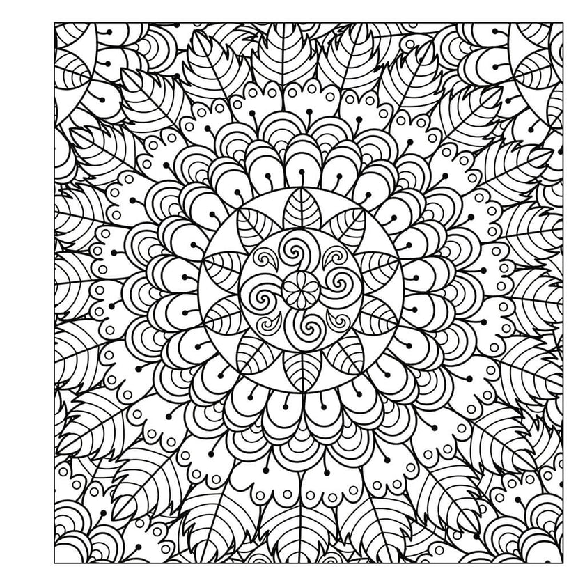 Cute and Playful Patterns Coloring Book (Spiral Edition)