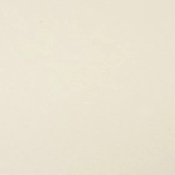 Clairefontaine - Maya Cardstock 120lb Paper - 20x28