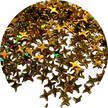 Holographic Gold 4 pointed star Glitter