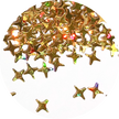 Holographic Gold 4 pointed star Glitter