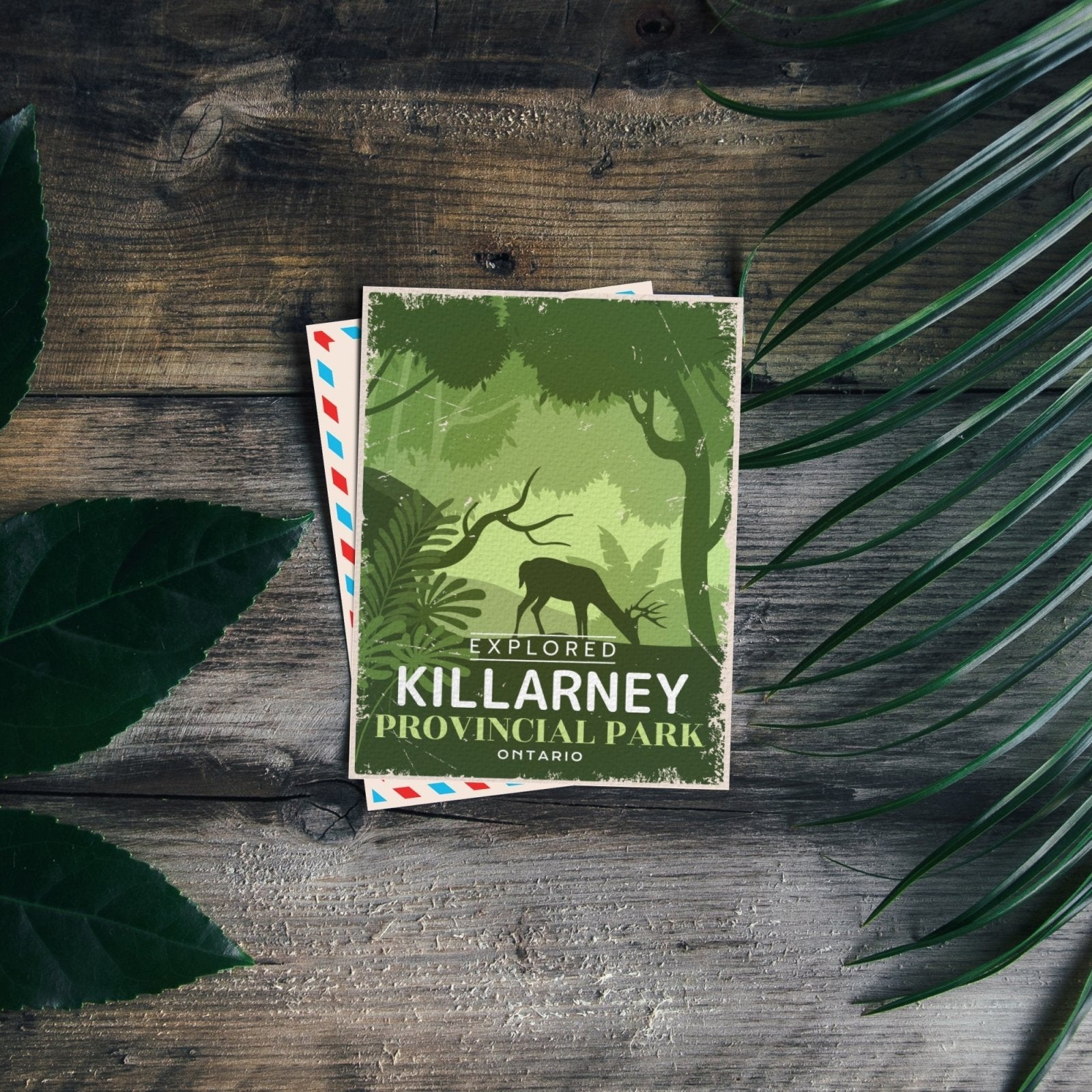 Killarney Ontario Provincial Park Postcard, Canada Parks