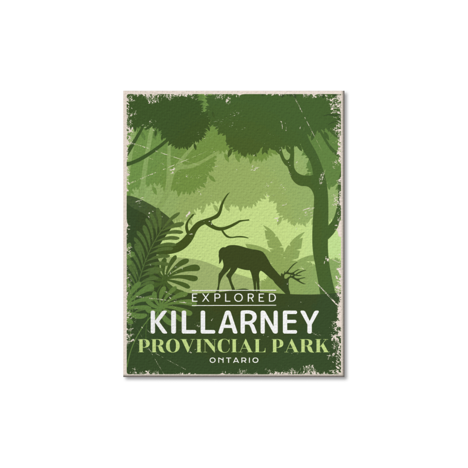 Killarney Ontario Provincial Park Postcard, Canada Parks