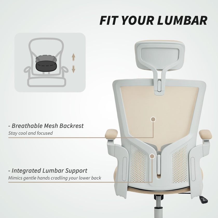 Andre Ergonomic Office Chair with 2D Lumbar Support and adjustable Headrest-Beige/White