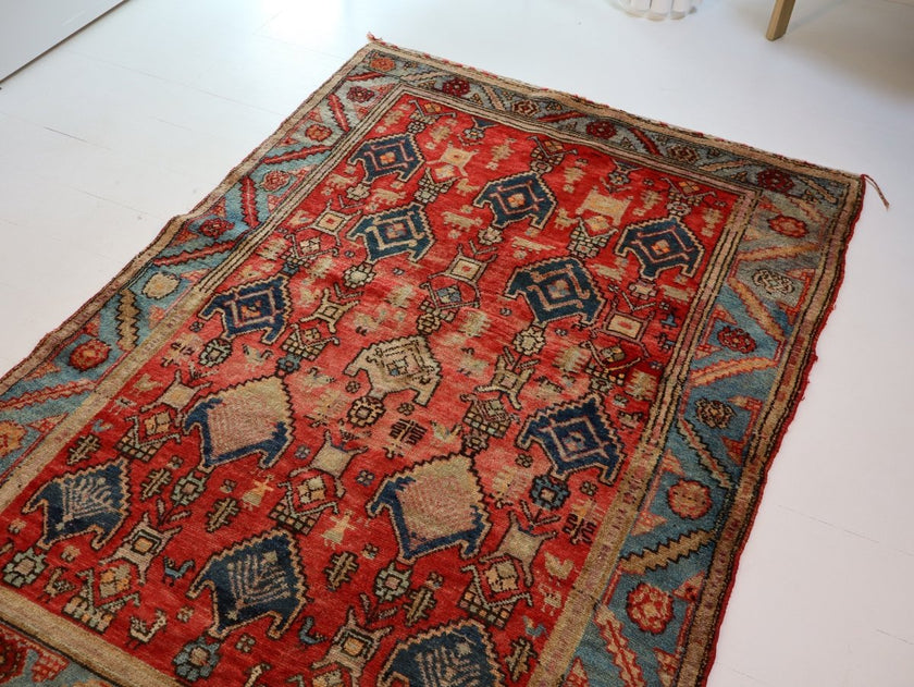 Kurdish Koliayi Rug | 4' 3