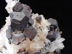 Large Black Pyrite & Quartz Cluster – Fengjiashan Mine (1043g)