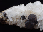 Large Black Pyrite with Quartz – Fengjiashan Mine (6